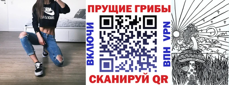 купить наркотики сайты  даркнет какой сайт  Галлюциногенные грибы GOLDEN TEACHER  Шумиха  omg маркетплейс 